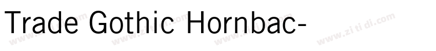 Trade Gothic Hornbac字体转换